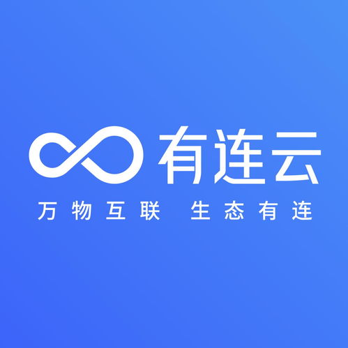 连云信息服务上海有限公司 科技赋能，领航区域信息新未来