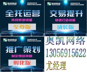 宁波阿里巴巴网站装修操作与信息服务实务指南